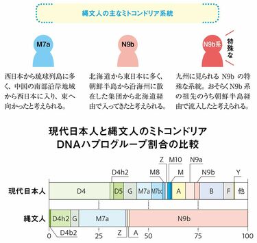 【中古】 日本の古代は弥生時代以前より渡来の歴史 貴方の先祖のルーツは新羅？百済？高句麗？/文芸書房/宮崎佐唯智 日本人の祖先に新説、DNA解析でたどる縄文・弥生の足跡 - 日本