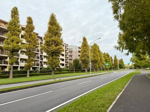 あすみが丘の主要道路