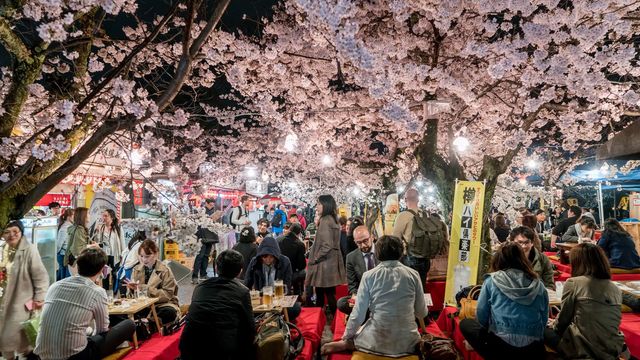 サクラに熱狂する日本人は外国人にはナゾだ 実践 伝わる英語トレーニング 東洋経済オンライン 社会をよくする経済ニュース サクラに熱狂する日本人は外国人にはナゾだ 実践 伝わる英語トレーニング 東洋経済オンライン 社会をよくする経済ニュース