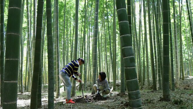 NYで開眼！栃木で｢竹の農場｣盛り上げる男の発想