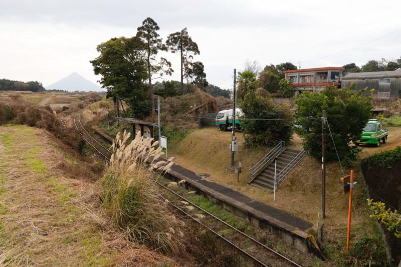 草刈り実施前の松ケ浦駅の様子。手前のススキなど、景観上やや気になる雑草が点在している（写真：村上悠太）