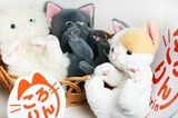 猫のぬいぐるみ