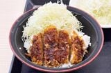 ライスの上にキャベツとソースカツが半分ずつ乗ったミニソースカツ丼（筆者撮影）