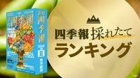 〈本日発売｢会社四季報｣最新ランキング〉日経平均を牽引する｢外国人が買った銘柄｣トップ50