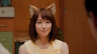 吉岡里帆｢どんぎつね｣が持つ｢ほっこり｣の威力 商品を独創的アプローチで表現したCMも好感