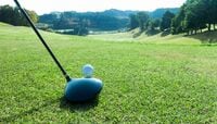 凋落してしまったゴルフ､再活性化できるか