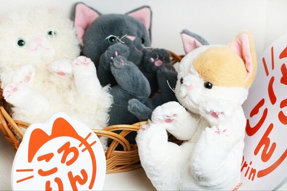 猫のぬいぐるみ