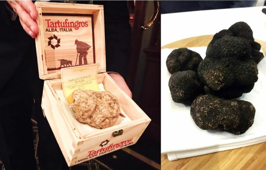 イタリア・アルバ産の箱入り白トリュフ（左）とパリのレストラン「アストランス」で使われていた黒トリュフ（右）（写真／山本益博）