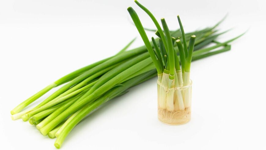 野菜を再生する方法を解説します（写真：ひとり君／PIXTA）