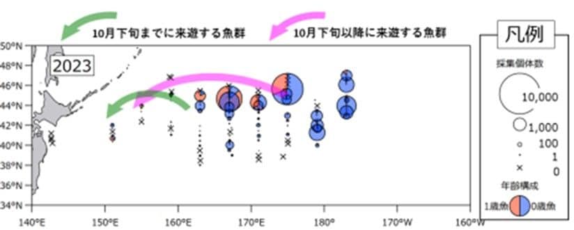 サンマの来遊予想（出所）水産研究・教育機構
