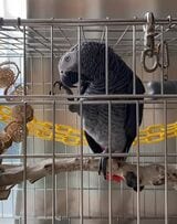 （写真提供：カマタさん）