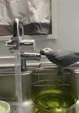 水道を出せても締めることはできない（写真提供：カマタさん）