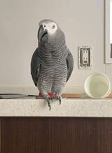 （写真提供：カマタさん）