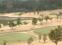 日系企業のインド駐在員は余暇をどのように過ごしているのか？