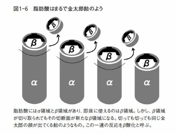 希望の分子生物学