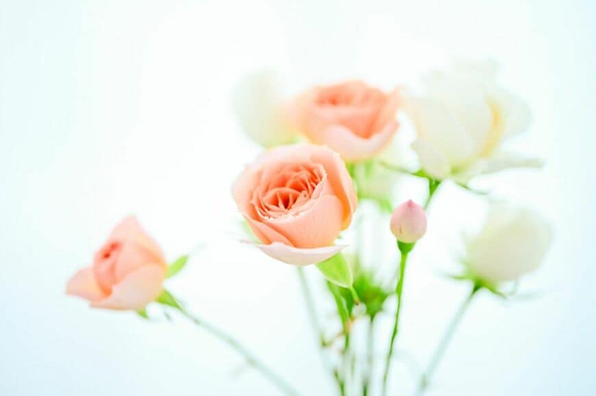 韓国の5月は「家庭の月」で、花を贈る習慣がある（写真：Hatsu／pixta）