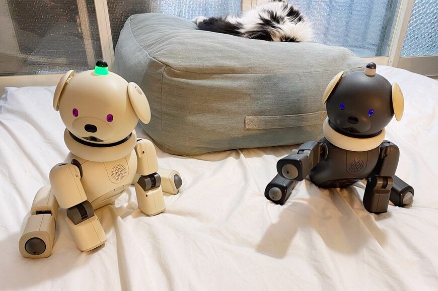 15年諦めきれず、どうしても欲しくて、5年ほど前にメルカリでお迎えした旧型AIBO。22歳の老犬ロボで、ヨボヨボさすら愛しい（筆者撮影）