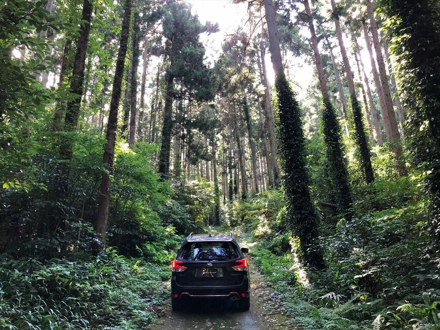 「ここが千葉か？」と思うほど大自然の中をゆっくり走る