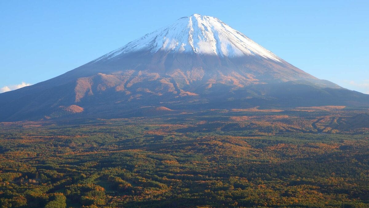 富士の樹海に伝わる｢5つの都市伝説｣の真実 ｢コンパスが効かないから