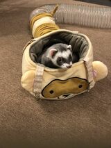 （写真提供：ミキさん）