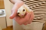 （写真提供：ひろさん）