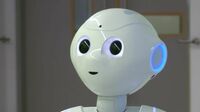 ペッパーがベルギーの病院で採用されたワケ ｢ナイスなロボット｣のポテンシャル