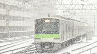 首都圏｢大雪時の間引き運転｣は逆効果だ 増発すれば列車がラッセル車代わりになる