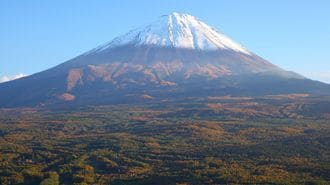 富士の樹海に伝わる｢5つの都市伝説｣の真実
