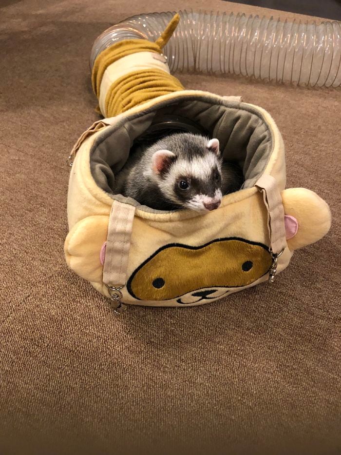 （写真提供：ミキさん）