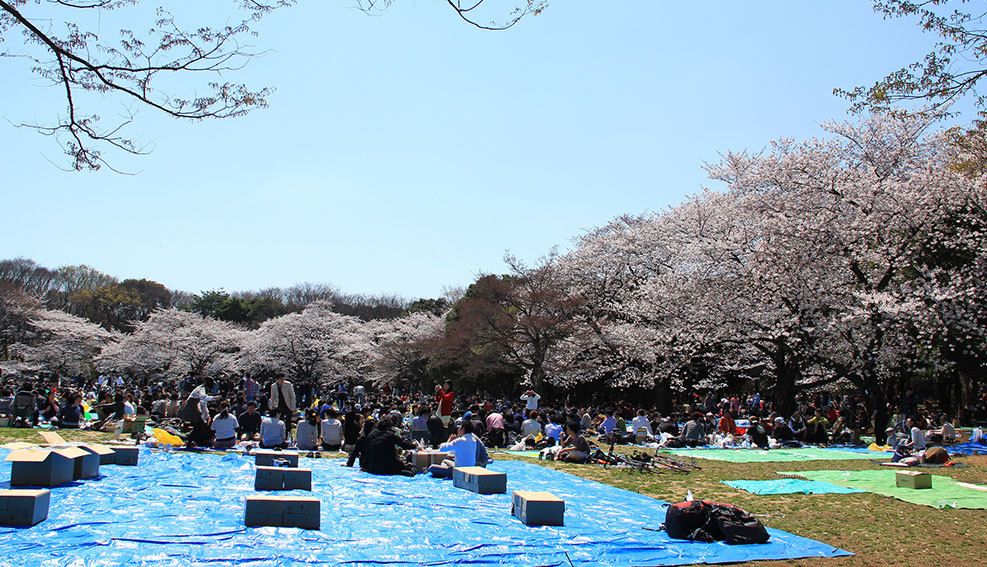 お花見のブルーシートは どうして青いのか なにわ社長の会社の磨き方 東洋経済オンライン 社会をよくする経済ニュース