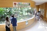 沖縄本島最北部の市町村・国頭村にあるヤンバルクイナ生態展示学習施設では、ヤンバルクイナの姿を見ることができる。（筆者撮影）