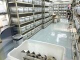 有吉さんは飼育室内の臭い軽減のため、高性能空気清浄機エアドッグを導入（筆者撮影）