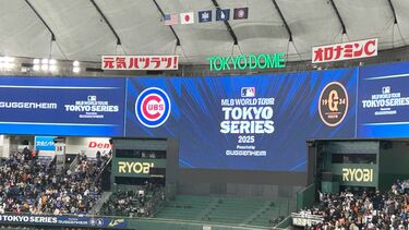 MLB 開幕　東京ドーム　公式球　ゴールド　2025 MLB 開幕 東京ドーム 公式球 ゴールド 2025 ローリングス ボール