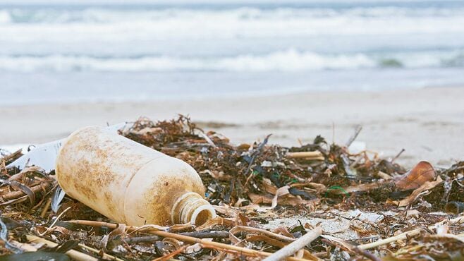 ｢レジ袋有料化は海洋プラ対策にならない｣