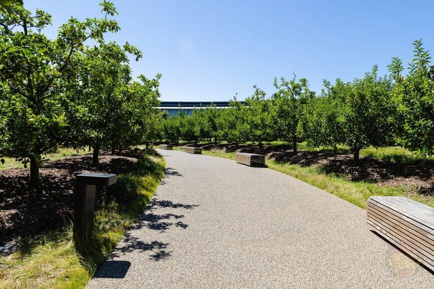 Apple Park