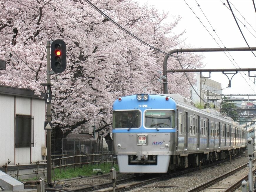 桜咲く駒場東大前駅付近を走るライトブルーの3000系（撮影：南正時）