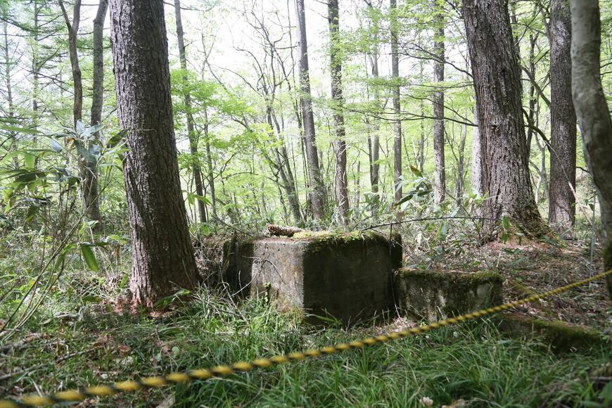 社宅はコンクリートの基礎部分を残すのみだが、風呂部分は確認できた（写真：筆者撮影）