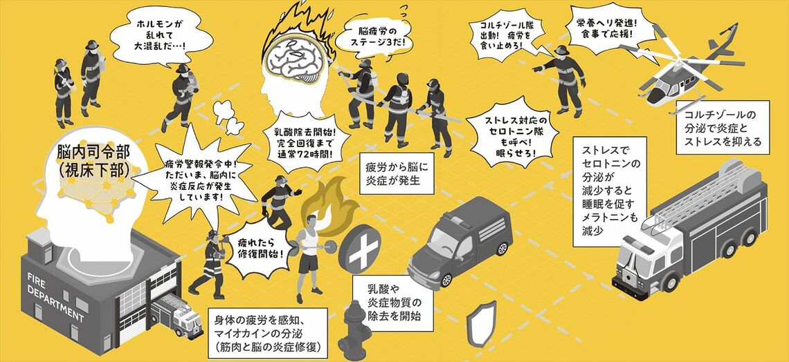 疲れのプロセス