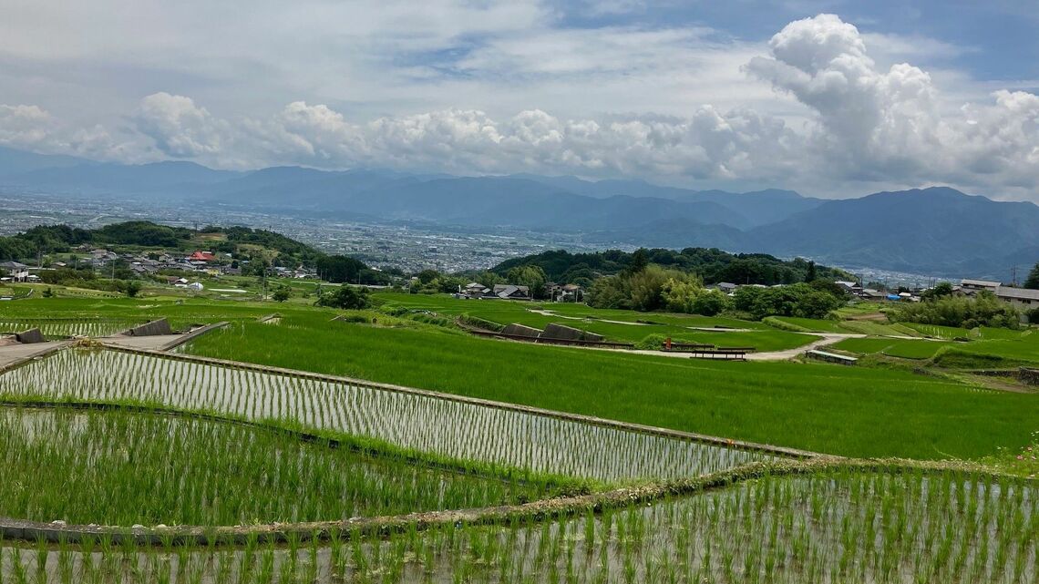 傾斜地には棚田が広がっている（筆者撮影）