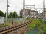 新宿5丁目あたりからカーブを描いて金町駅に乗り入れるコースを取る（編集部撮影）
