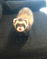 （写真提供：ミキさん）