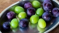 今が狙い目！旬の｢ブドウの食べ方｣超簡単なコツ 今年安い｢シャインマスカット｣だけじゃない選択肢