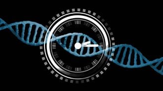 DNA　メチル化時計