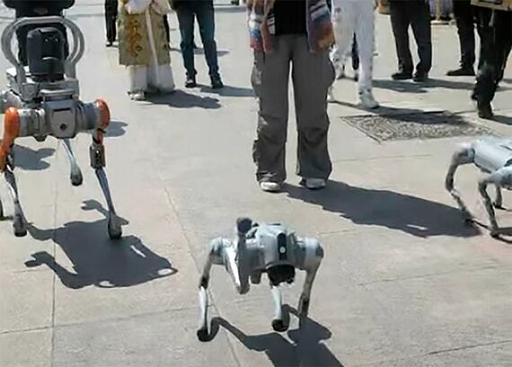 ロボット犬