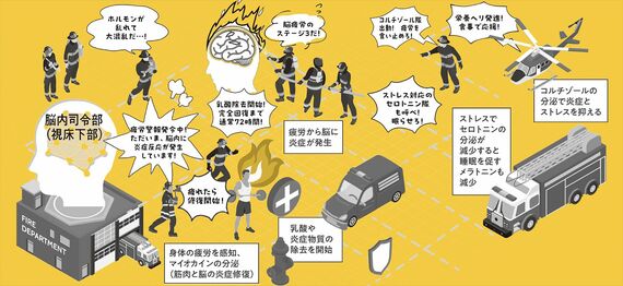 疲れのプロセス