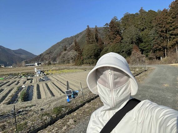 メッシュ部分は紫外線カット加工はされていない