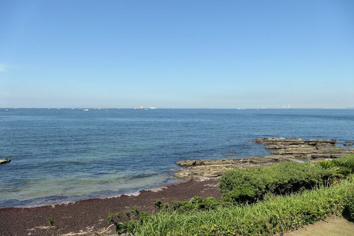 ベランダからの眺め（南側）