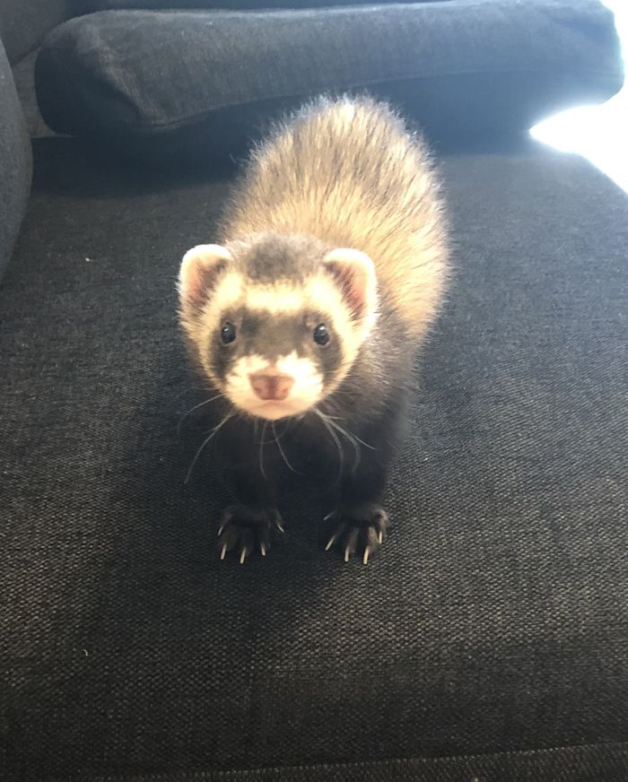 （写真提供：ミキさん）