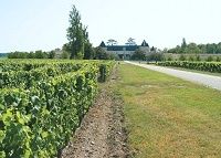 「保険」と｢ワイン｣？　アクサが実践する絶妙のマリアージュ