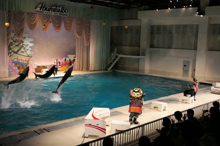 いるか・あしかパフォーマンス